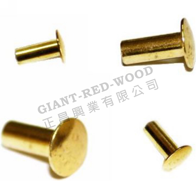 Flat head hollow nail