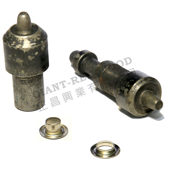 Eye-thorn mold