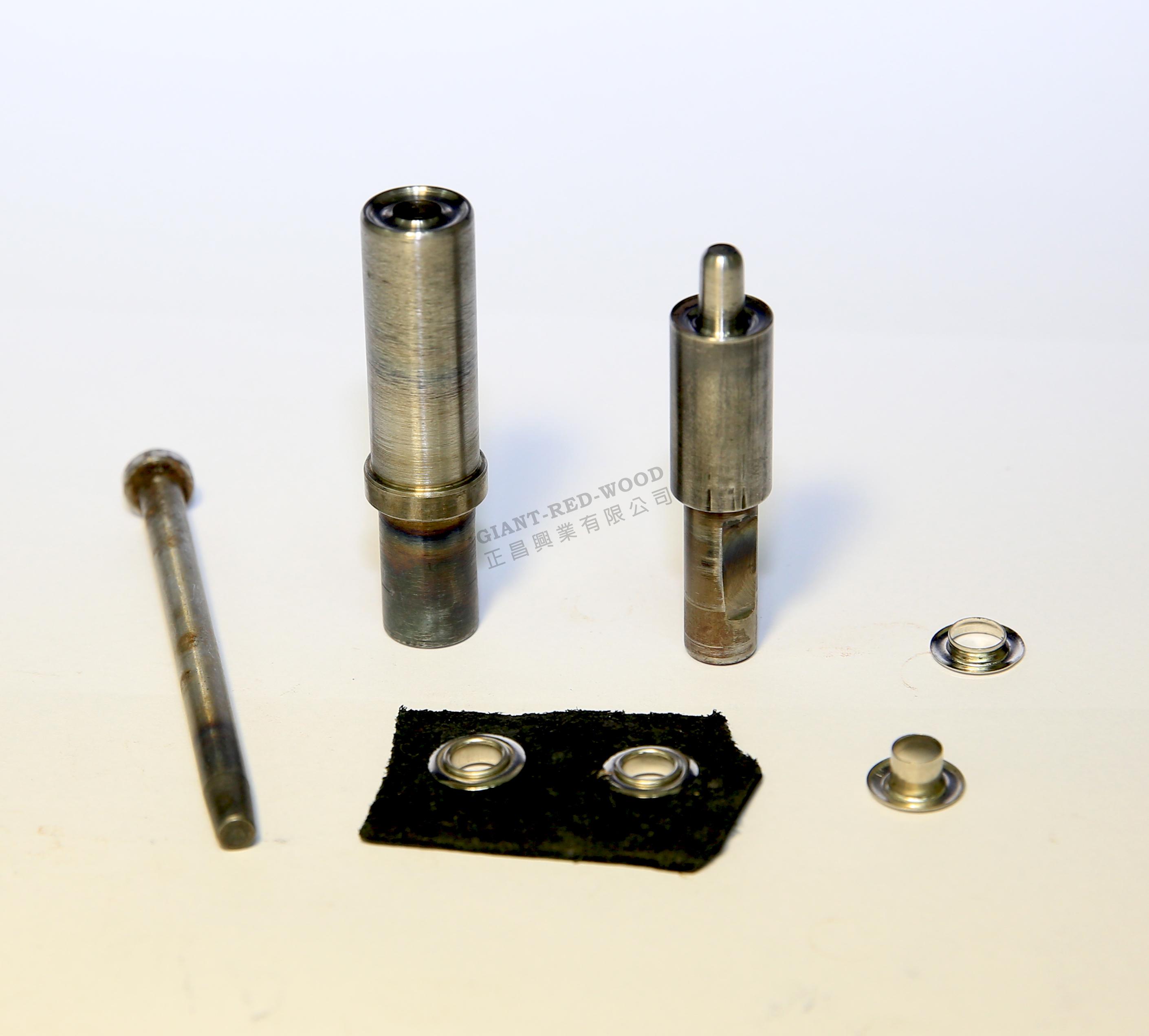 Eye-thorn mold