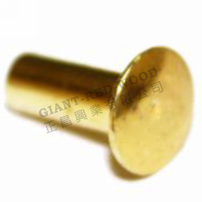 Flat head hollow nail