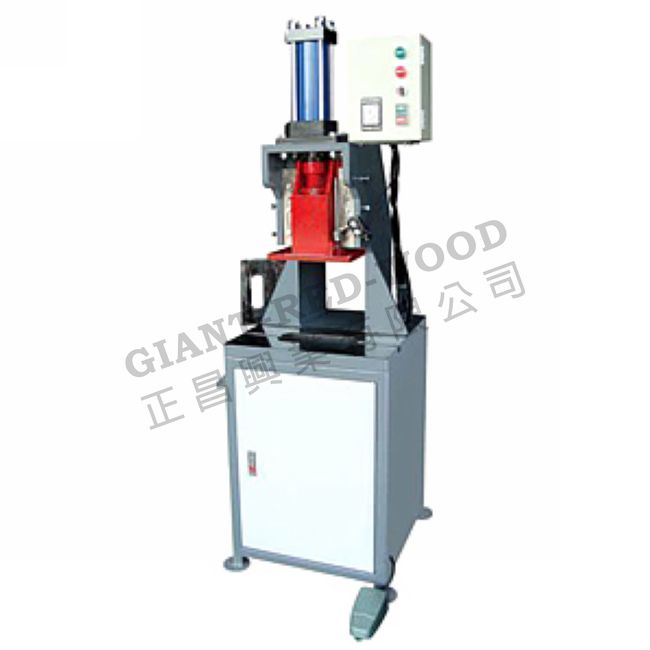 RW-250F floor-standing oil press machine